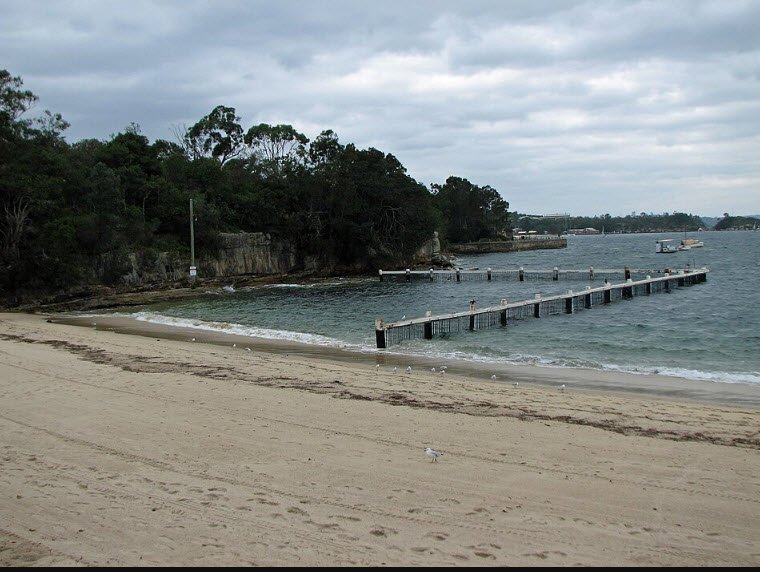 Little Manly Beach, Australia